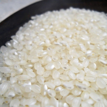 Arroz koshihikari
