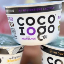 Yogur coco iogo arandanos sin tacc