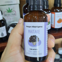 Hongo adaptogeno - maitake