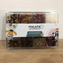 Gin experience - experiencia completa mix 8