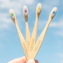 Cepillos de dientes